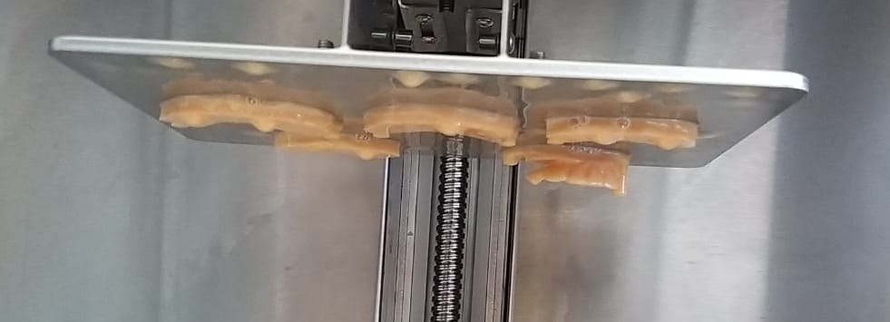 Only Half model in the Z direction is being Printed