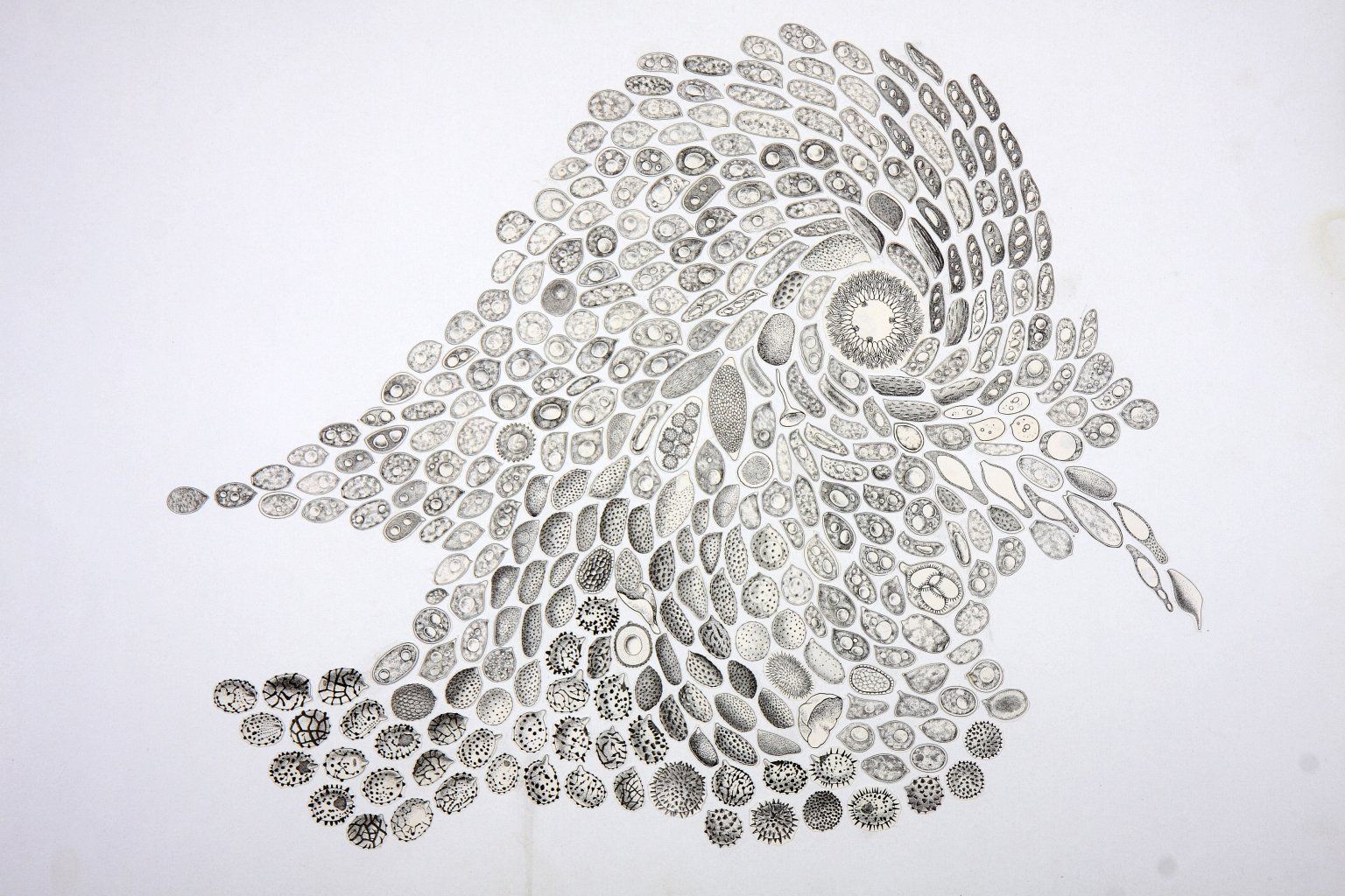 Collage von Carsten Schneider