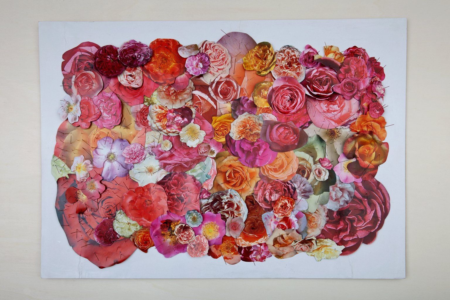 Ein Assemblage aus gestecknadelten Rosenphotos. Maße 68 x 48 cm. Von Carsten Schneider, 2010.