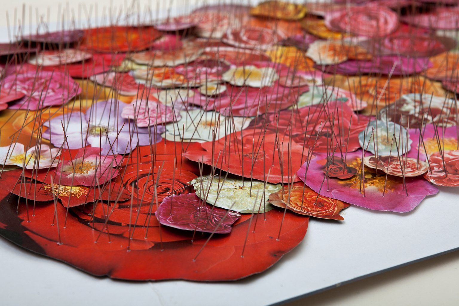Ein Assemblage aus gestecknadelten Rosenphotos. Maße 68 cm x 48 cm. Von Carsten Schneider, 2010. Detailansicht