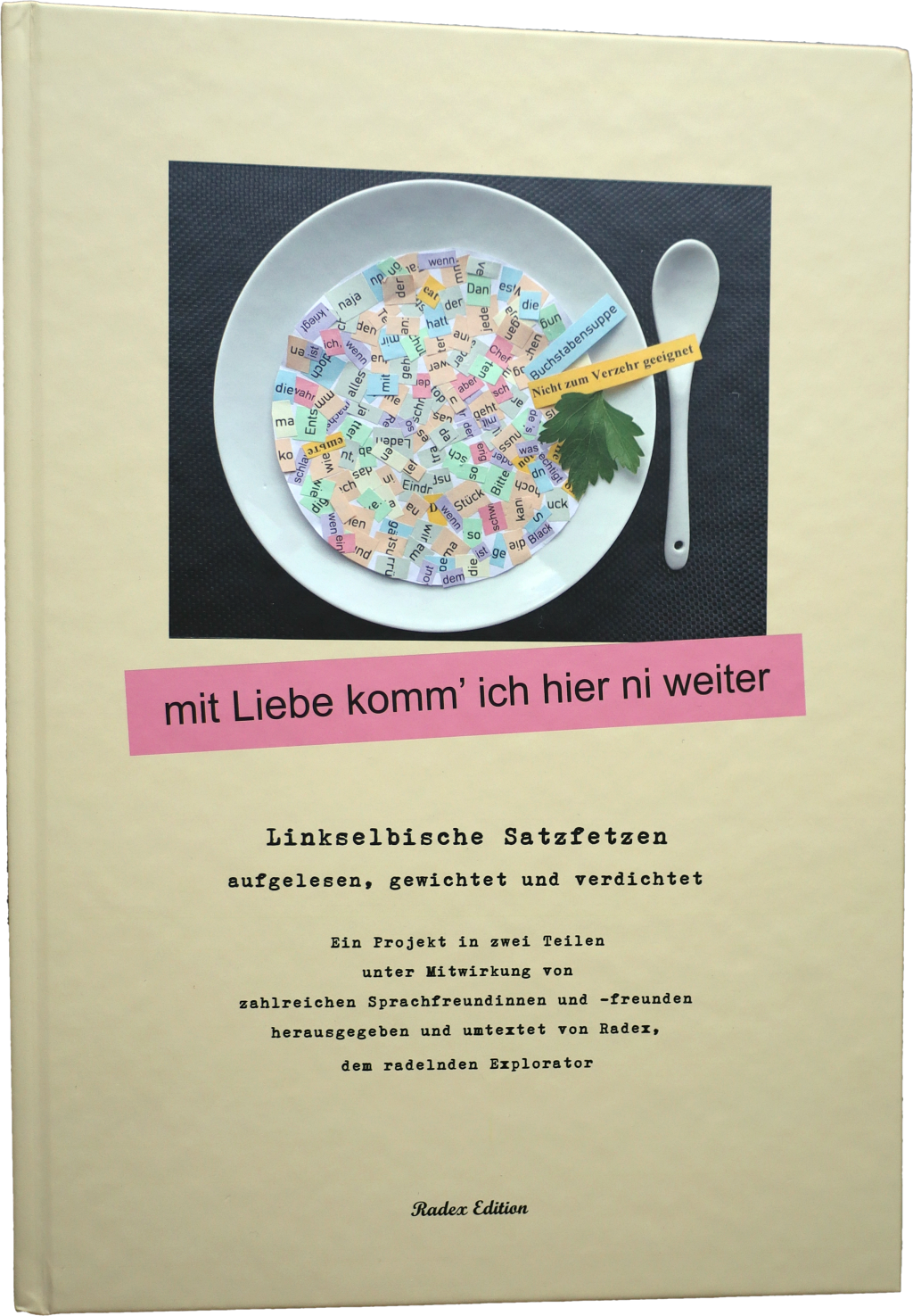 Buntes, typografisch gestaltetes Buchcover mit collagierten Elementen