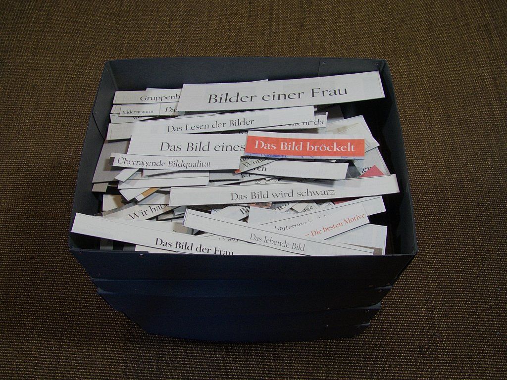 Gesammelte Zeitungsausschnitte von Carsten Schneider