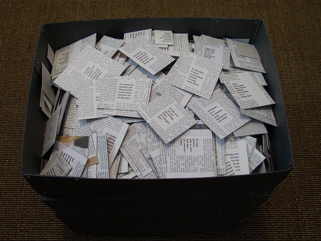 Gesammelte Zeitungsausschnitte von Carsten Schneider