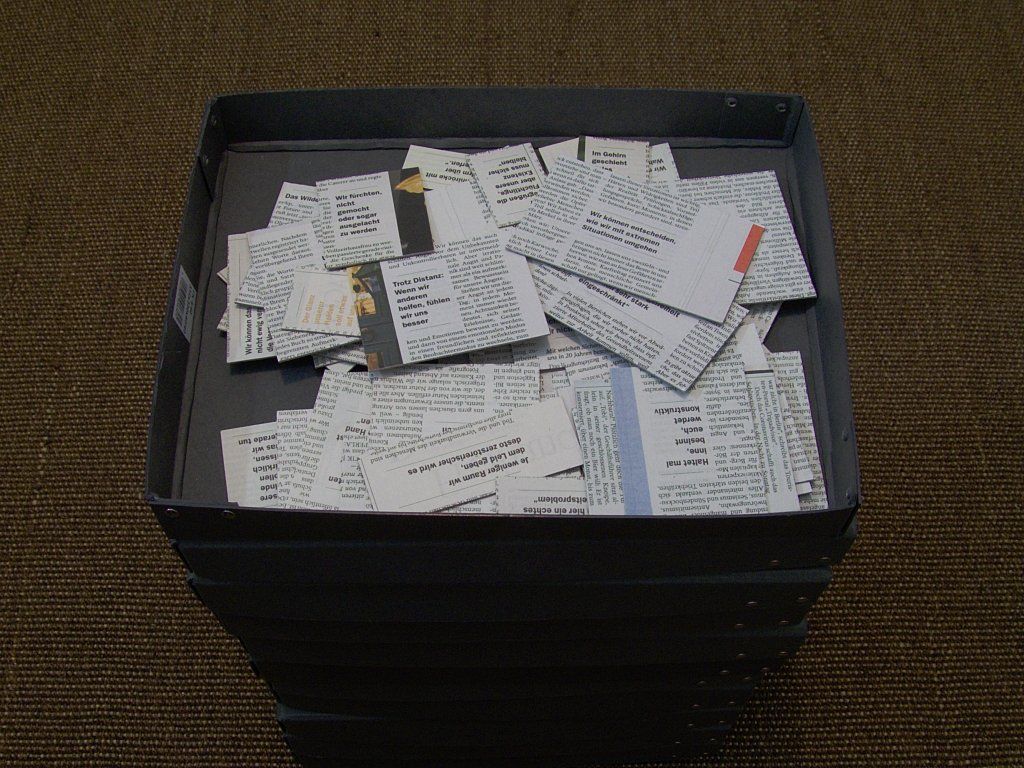 Gesammelte Zeitungsausschnitte von Carsten Schneider