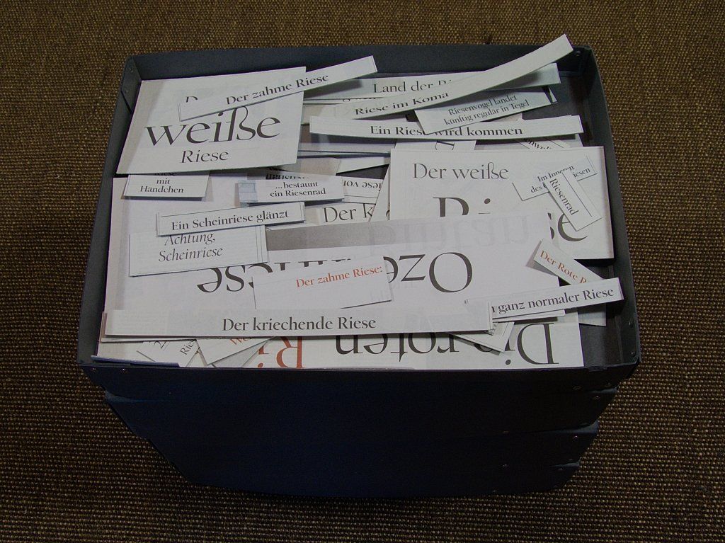 Gesammelte Zeitungsausschnitte von Carsten Schneider