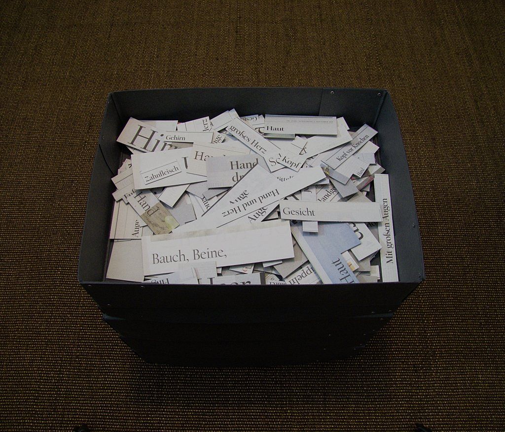 Gesammelte Zeitungsausschnitte von Carsten Schneider