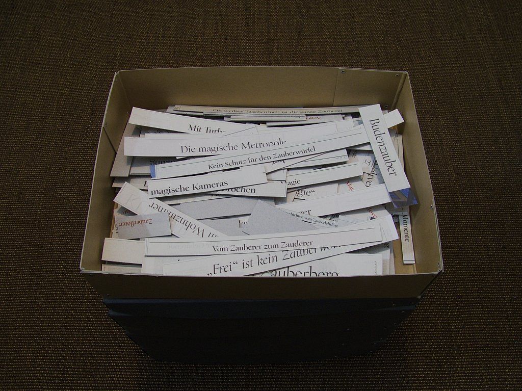 Gesammelte Zeitungsausschnitte von Carsten Schneider