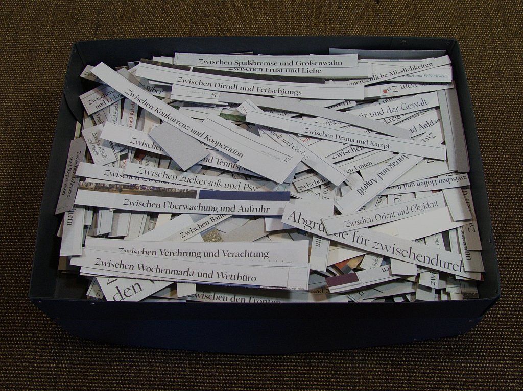 Gesammelte Zeitungsausschnitte von Carsten Schneider