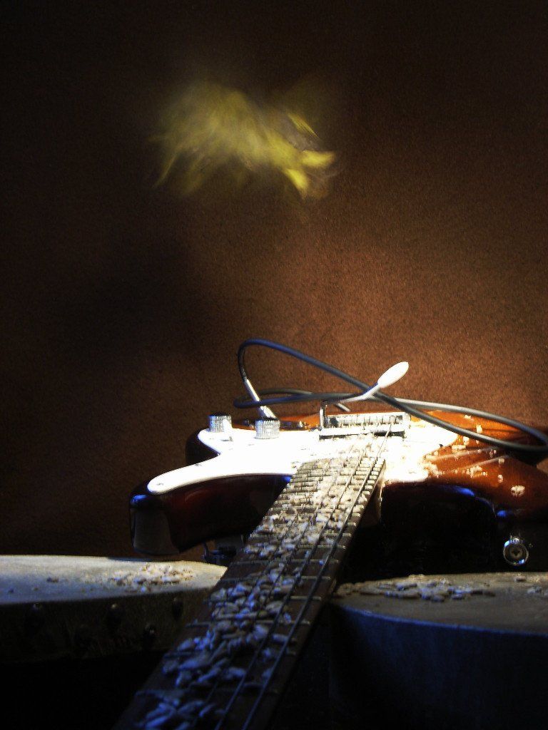 Wildvögel auf Trommel und E-Gitarre. Ein Klangkunstwerk von Carsten Schneider