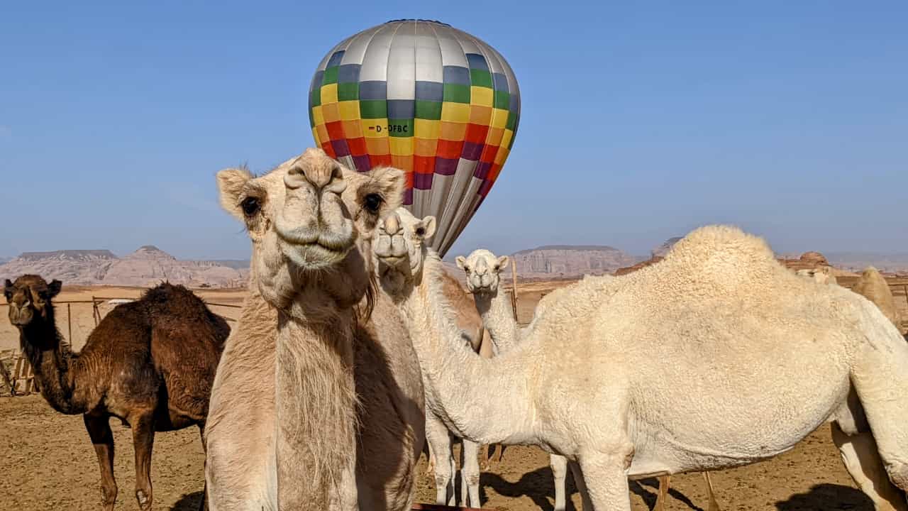 unser Ballon - gelandet
