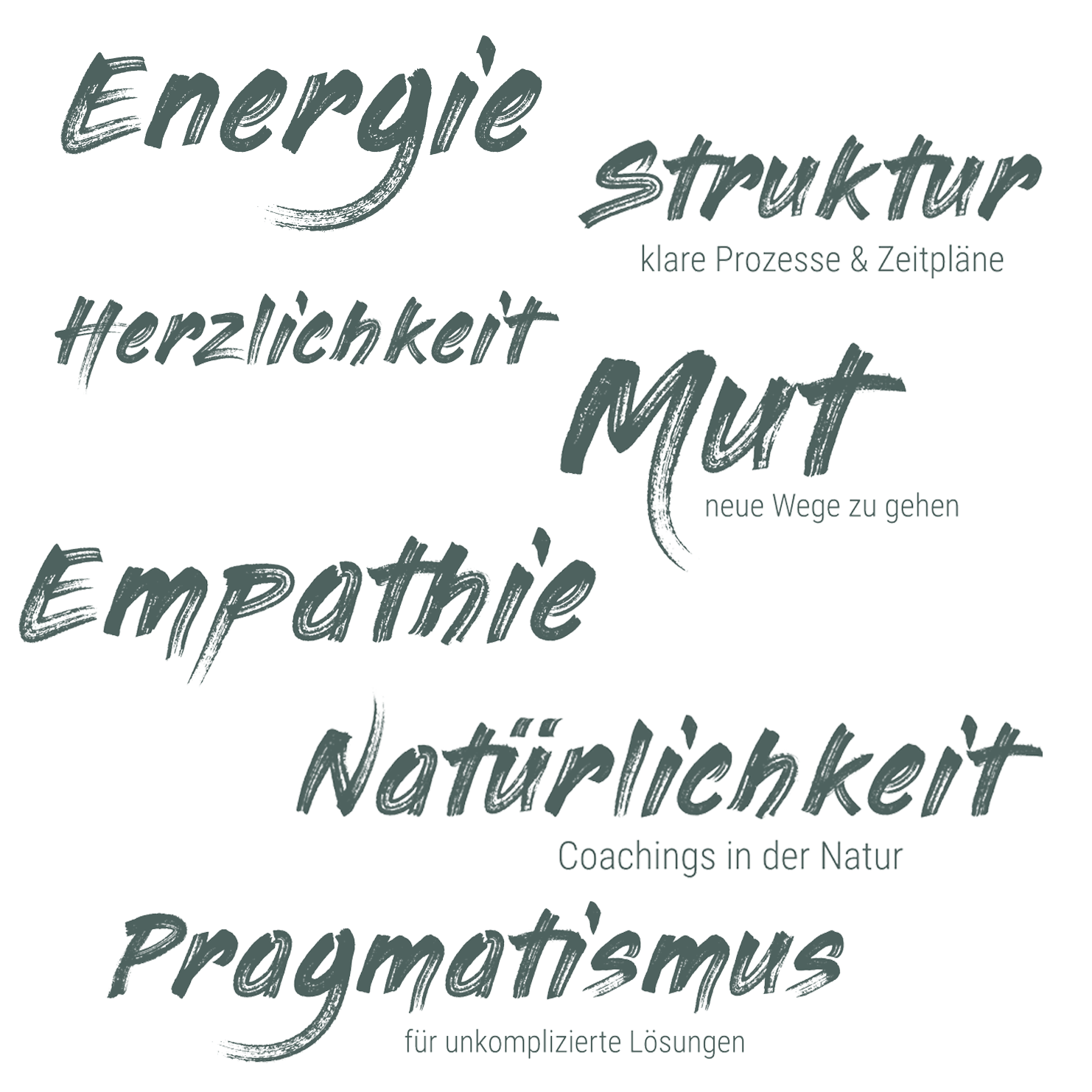 Struktur: klare Prozesse und Zeitpläne, Energie, Mut neue Wege zu gehen, Empathie, Natürlichkeit, Coachings in der Natur, Herzlichkeit, Pragmatismus für unkomplizierte Lösungen