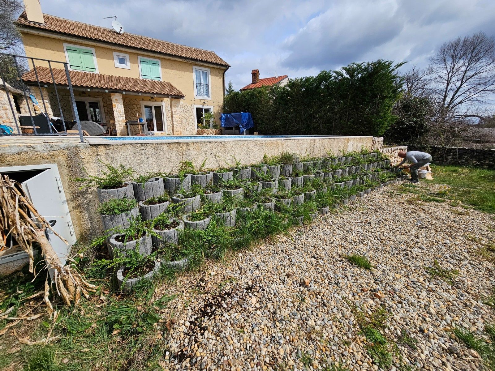 Bepflanzung Insel Krk Kroatien