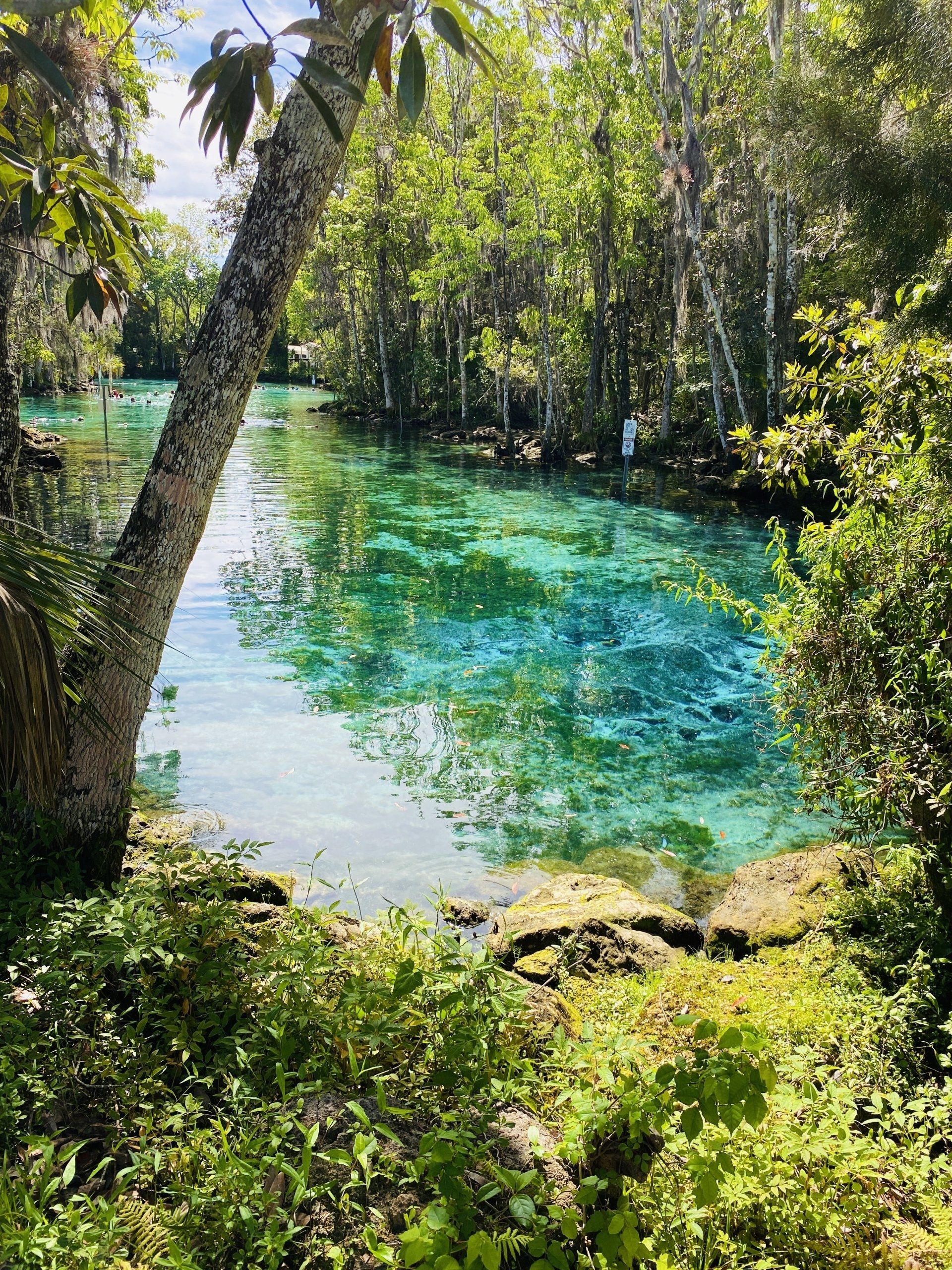 Florida Springs