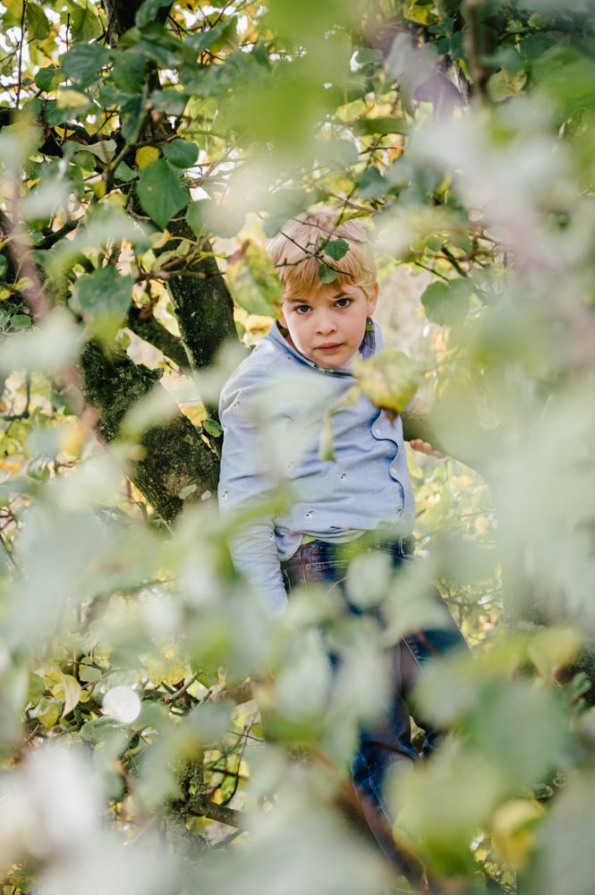 Fotografin Kiel, Junge im apfelbaum