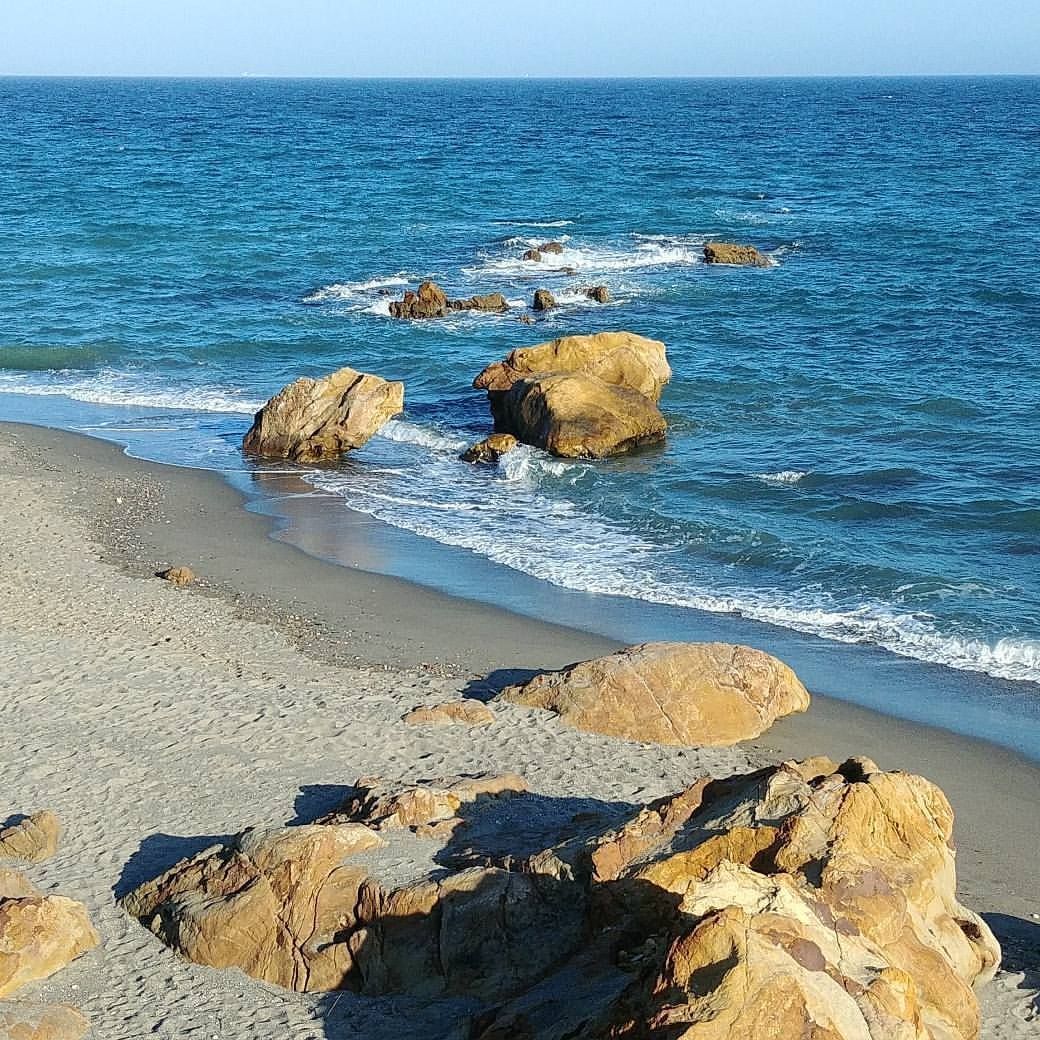 Coastal estate agent showcasing listings in Alcaidesa