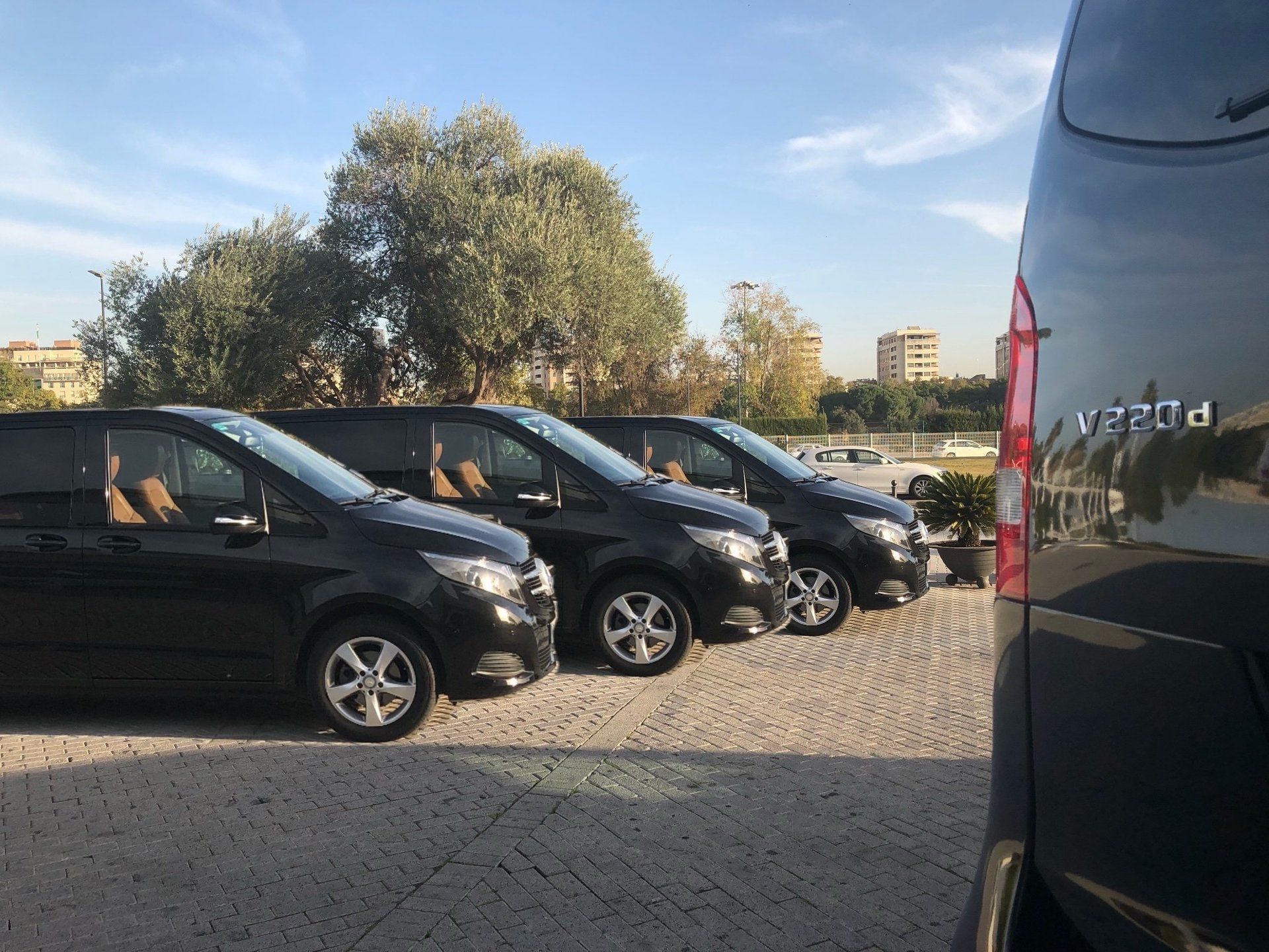 Congresos, eventos, concierto, autohispalis le brinda la mayor flota de V-Class de Andalucia