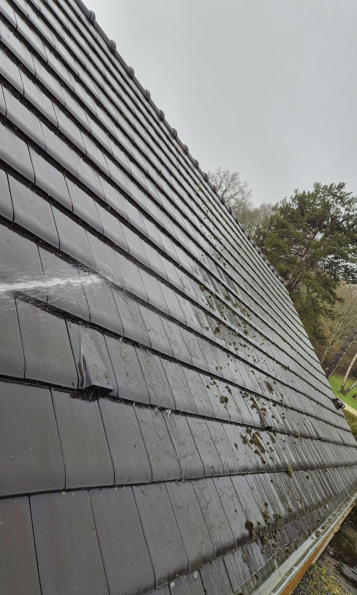 Entretien Demoussage Toiture 95