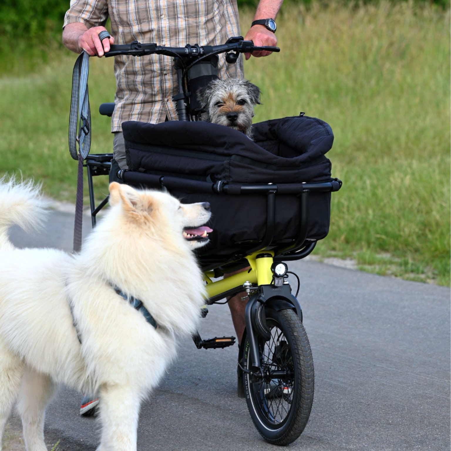 Paderborn
E-Bike
Fahrrad
Lastenrad