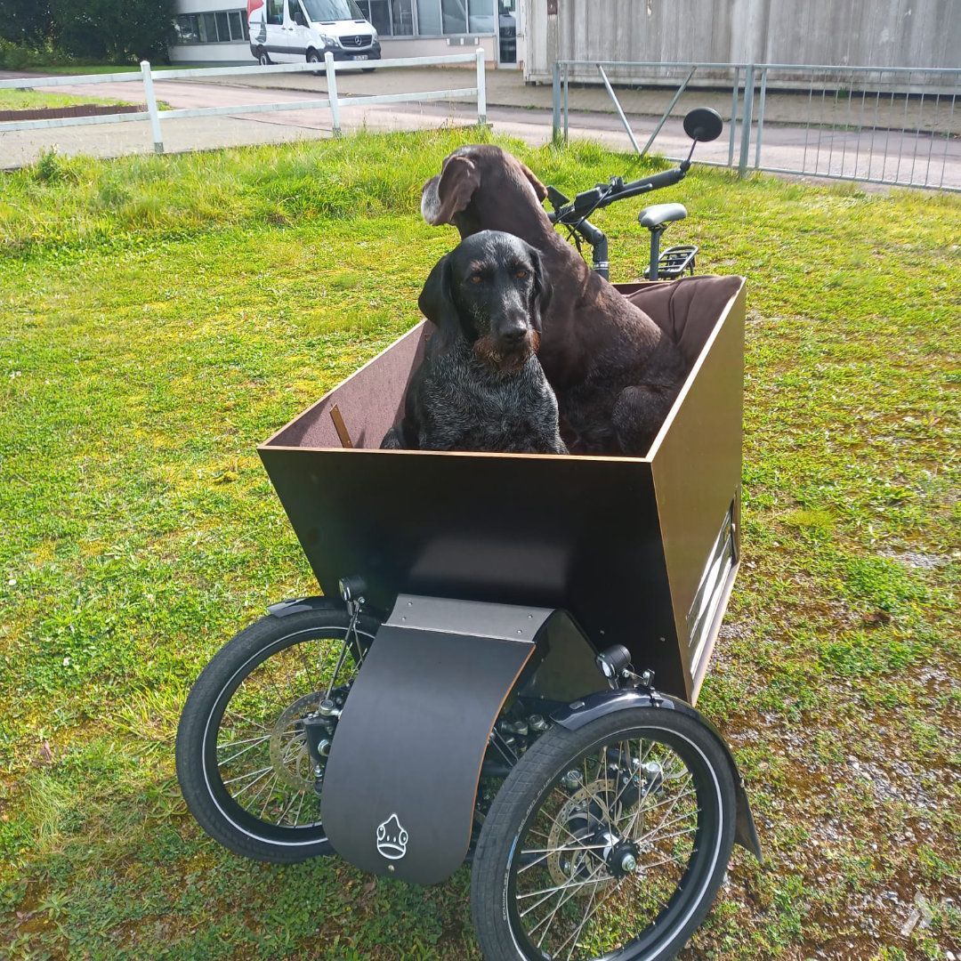 hunde fahrrad ebike paderborn pakumo