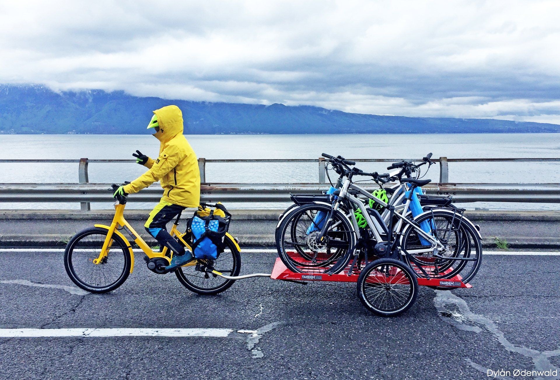 Großer hinterher Anhänger für den Fahrradtransport