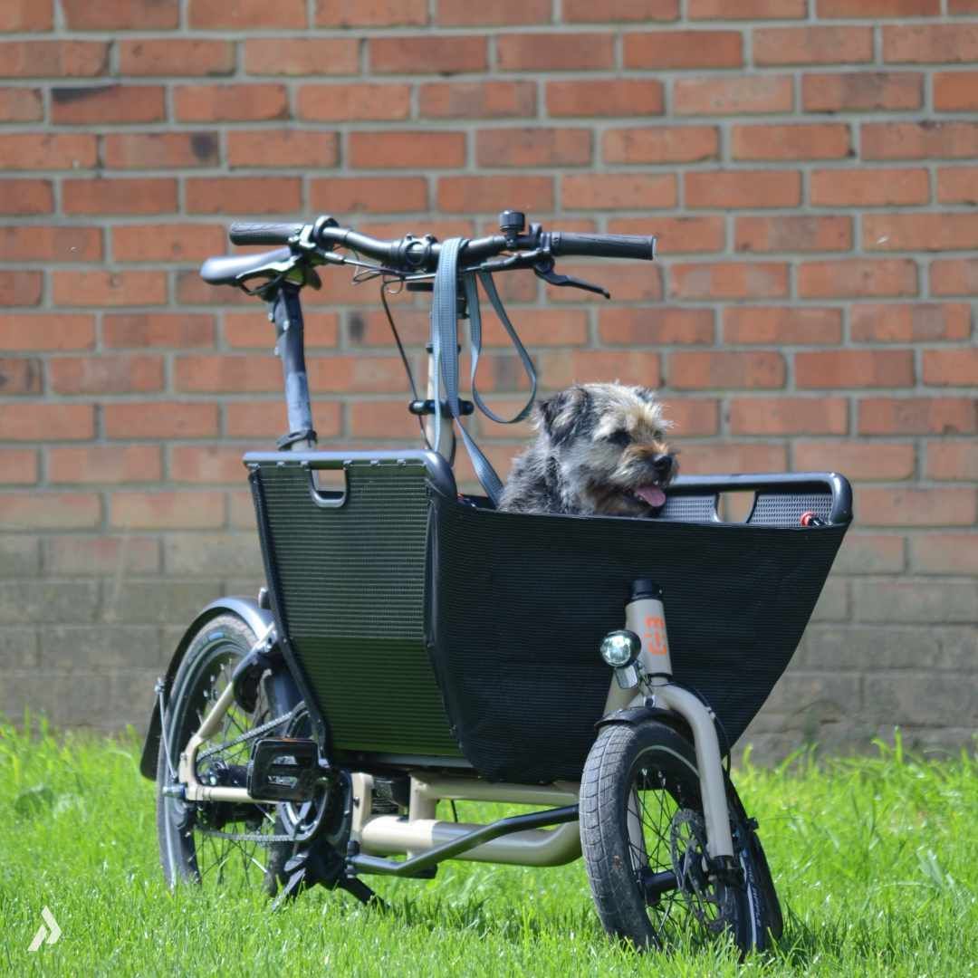 Hundetransport Fahrrad E-Bike