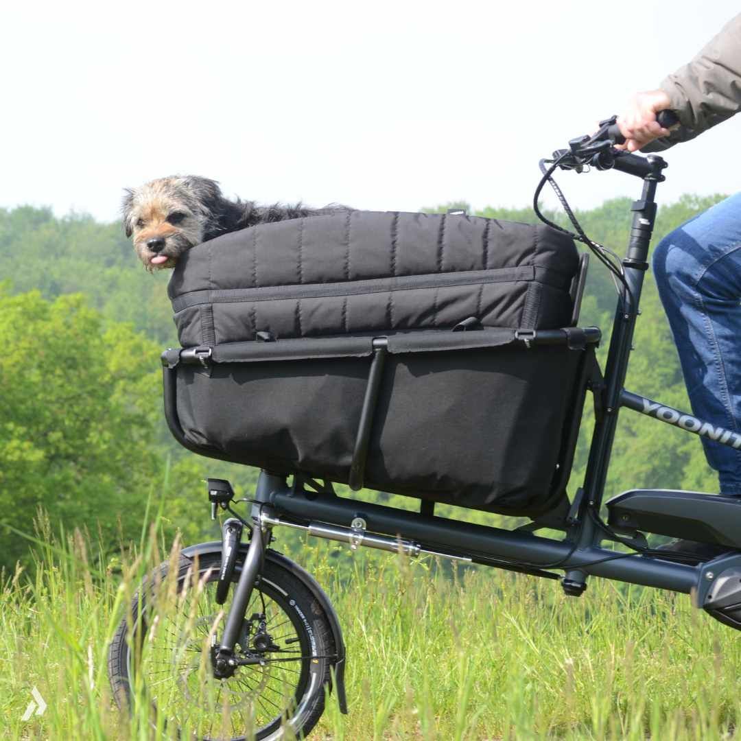 Hund und Cargobike
