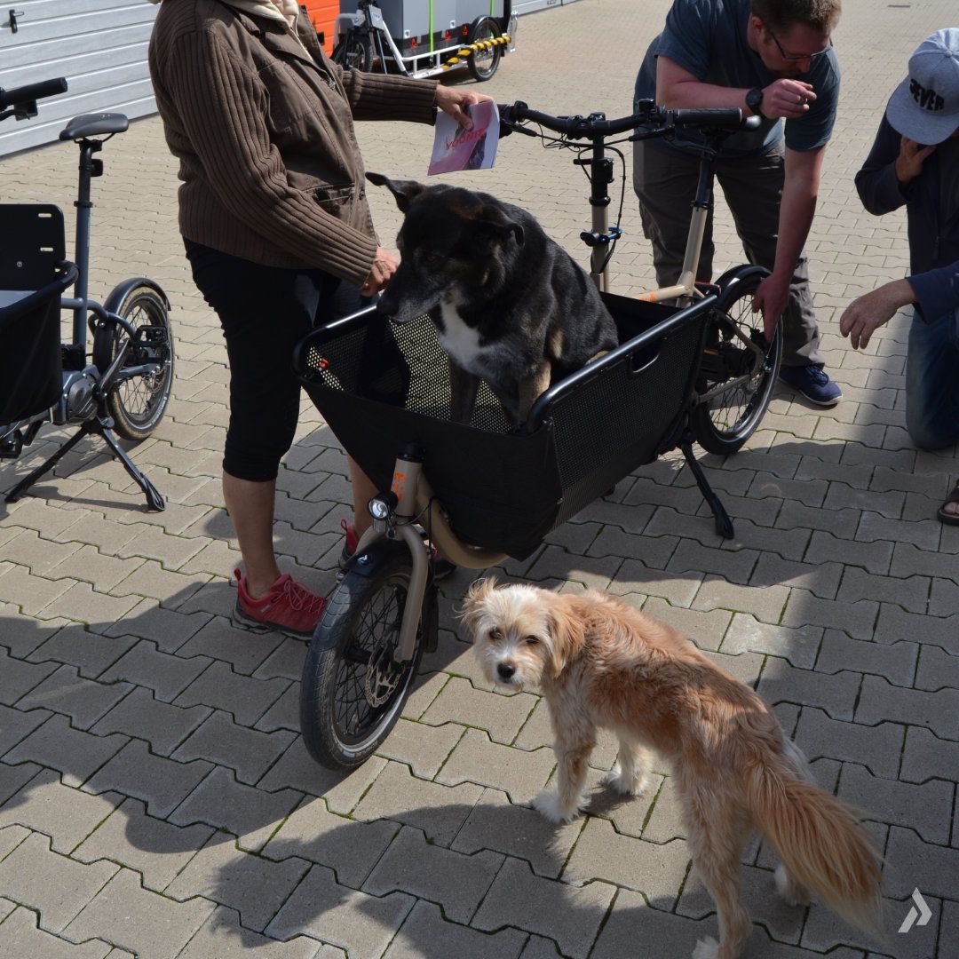 muli E-Bike Hunderad