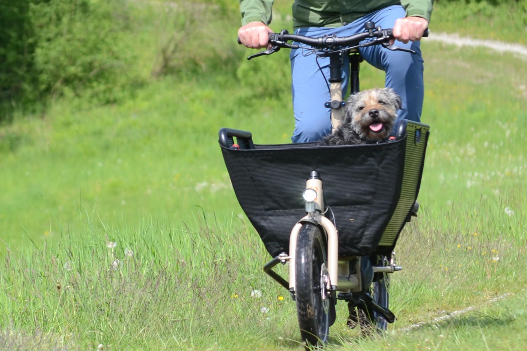 muli dog bike pakumo paderborn