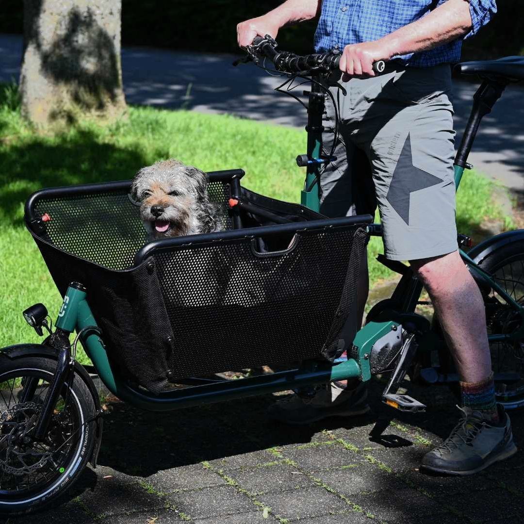 Paderborn
E-Bike
Fahrrad
Lastenrad