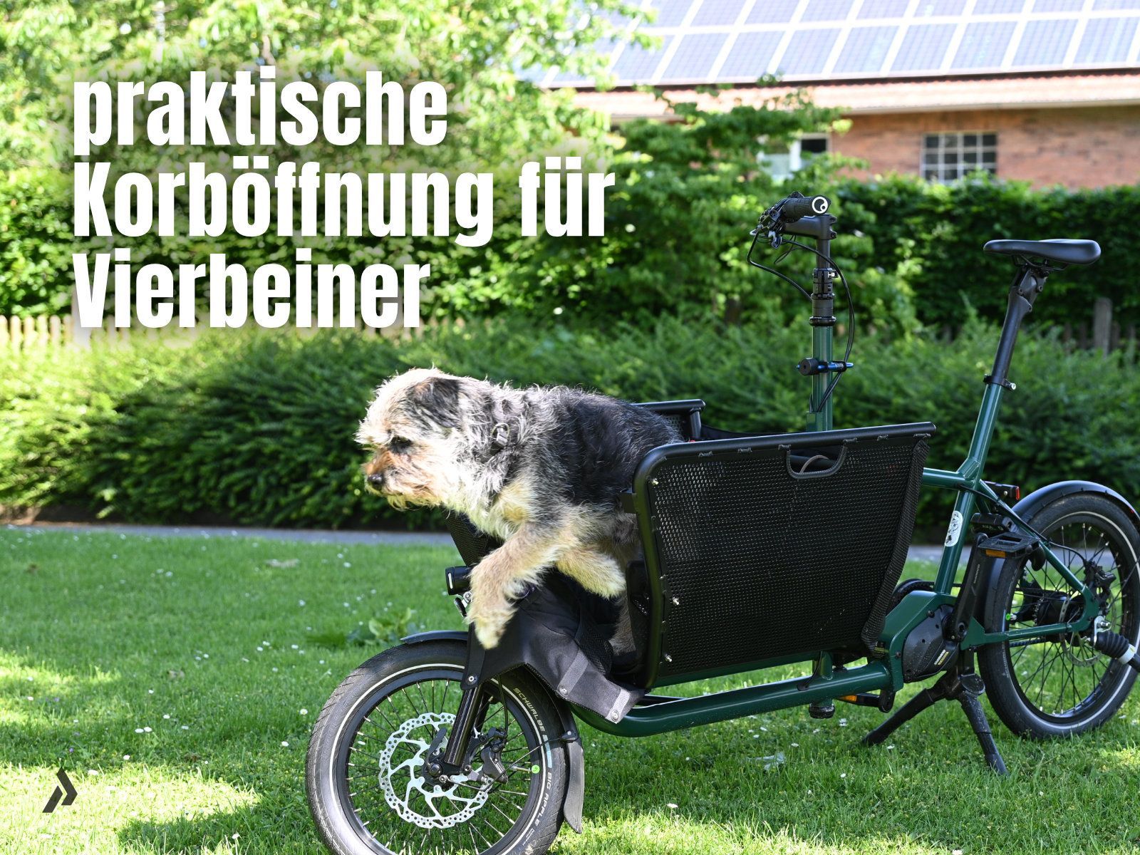 E-Bike mit Hund auf der Wiese in der Natur muli paderborn pakumo