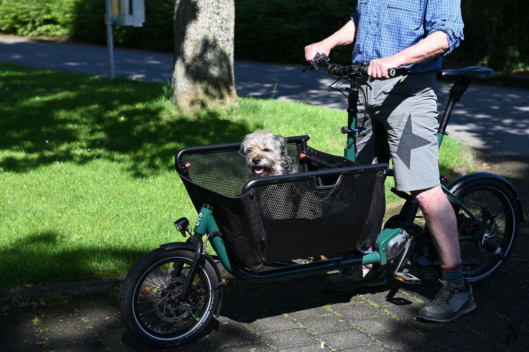muli dog bike pakumo paderborn
