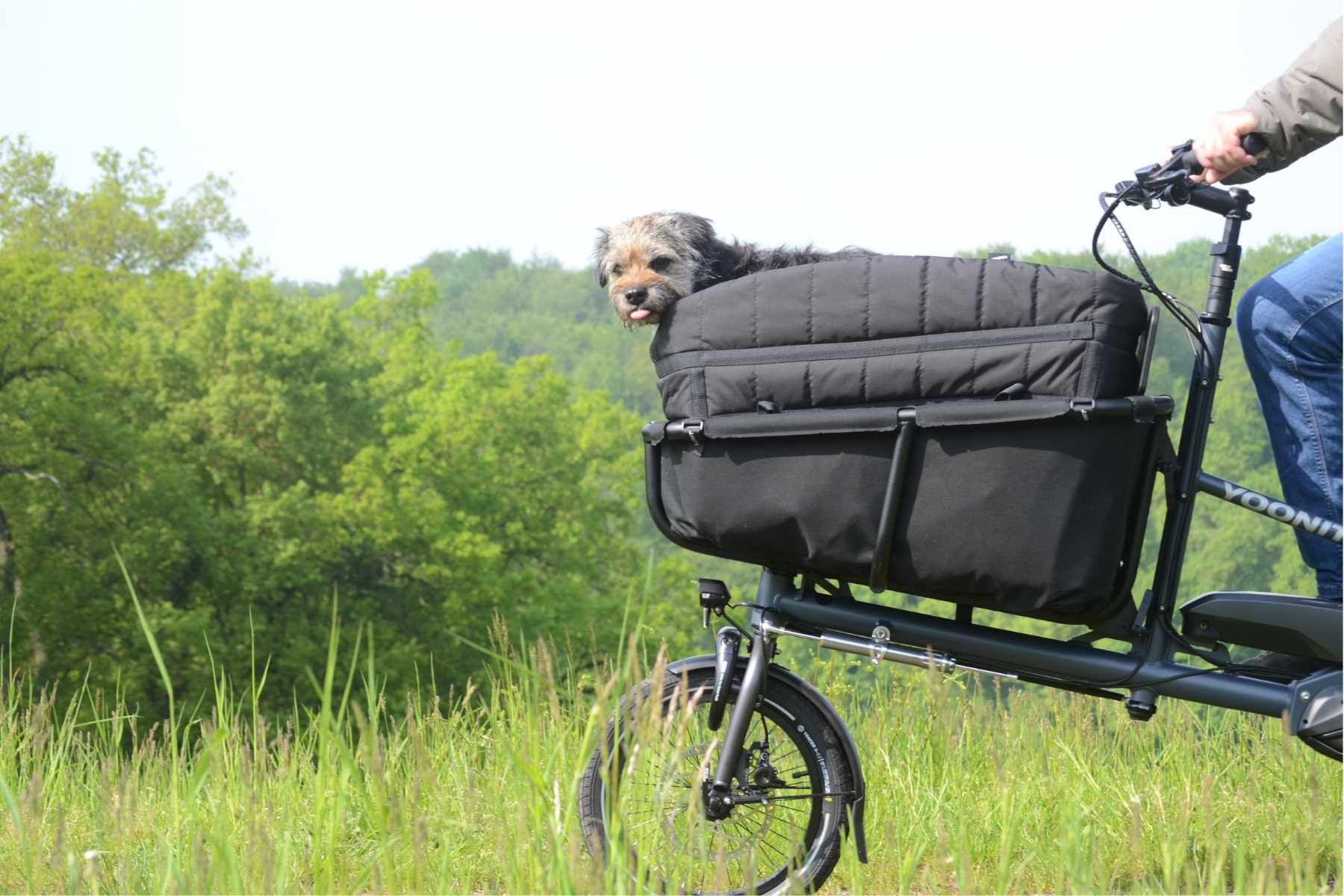 kleines Cargobike mit Hund & wechselbarer Ladefläche Lastenrad für den Fahrrad-Alltag urbane E-Bikes