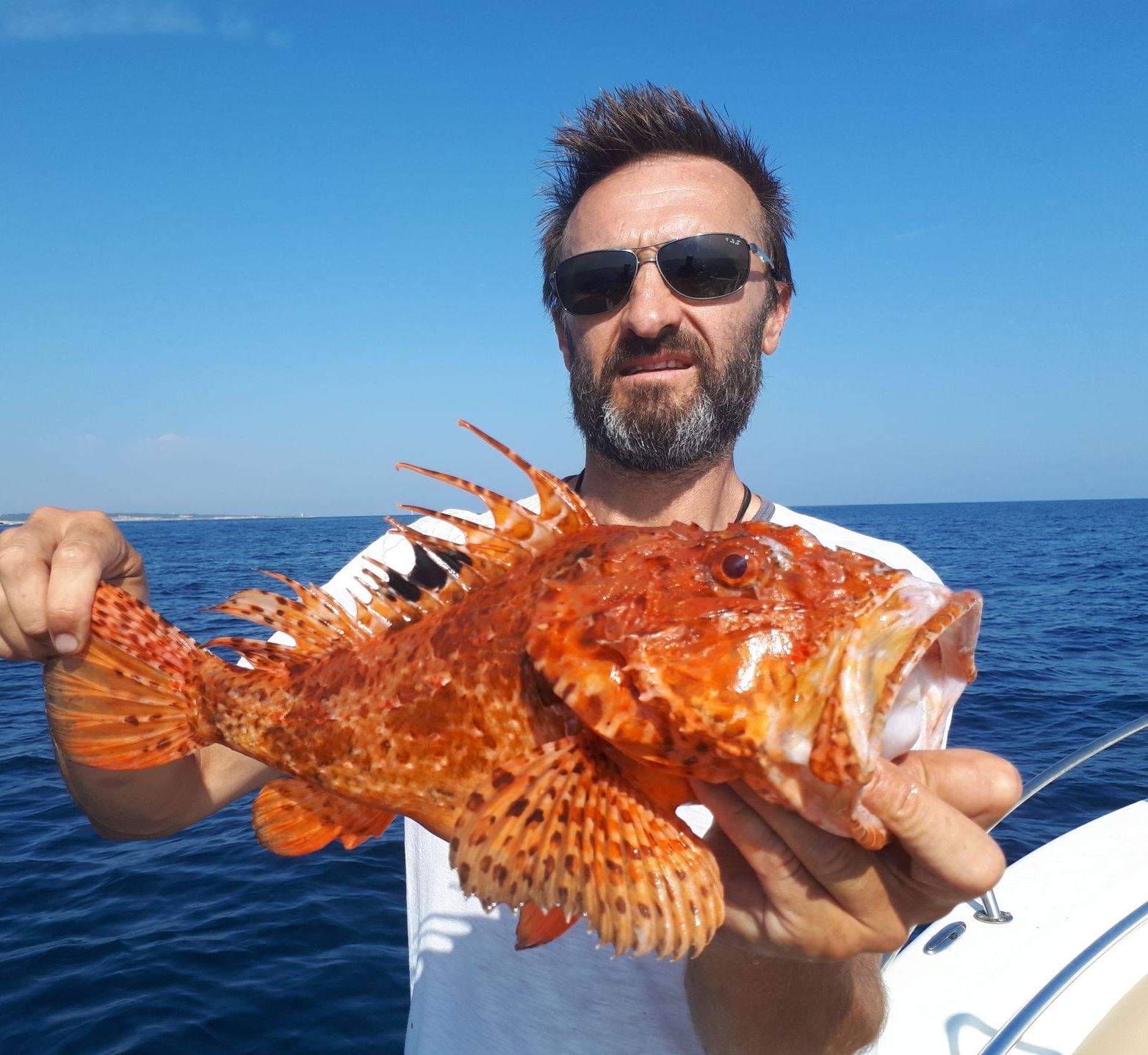 chapon pêche côte bleue loisir pêche moniteur sortie en mer