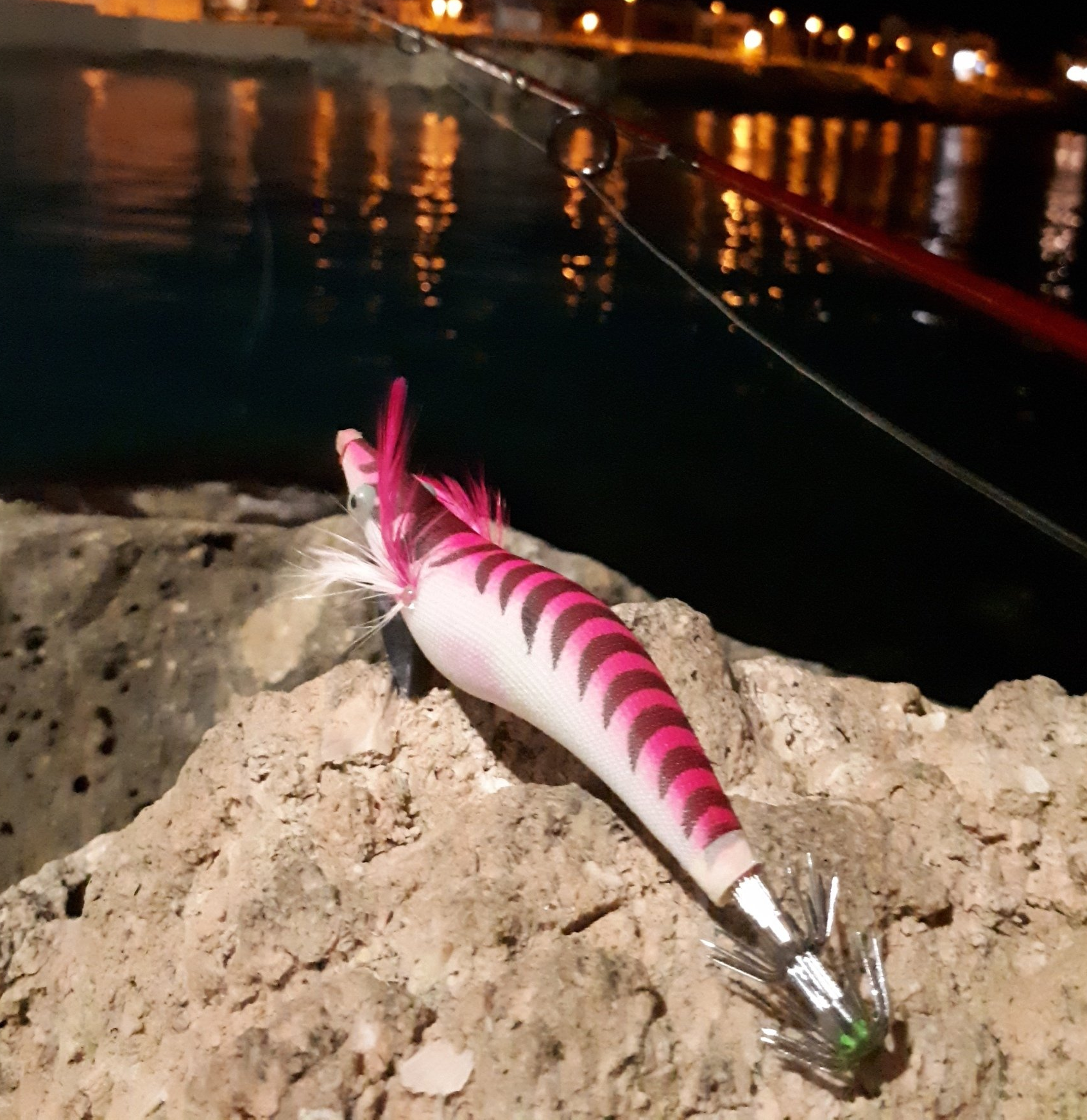turlutte pour capturer les calamars