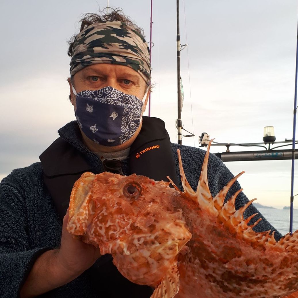 gros chapon capturé sur la cote bleue lors d'une pêche en bateau