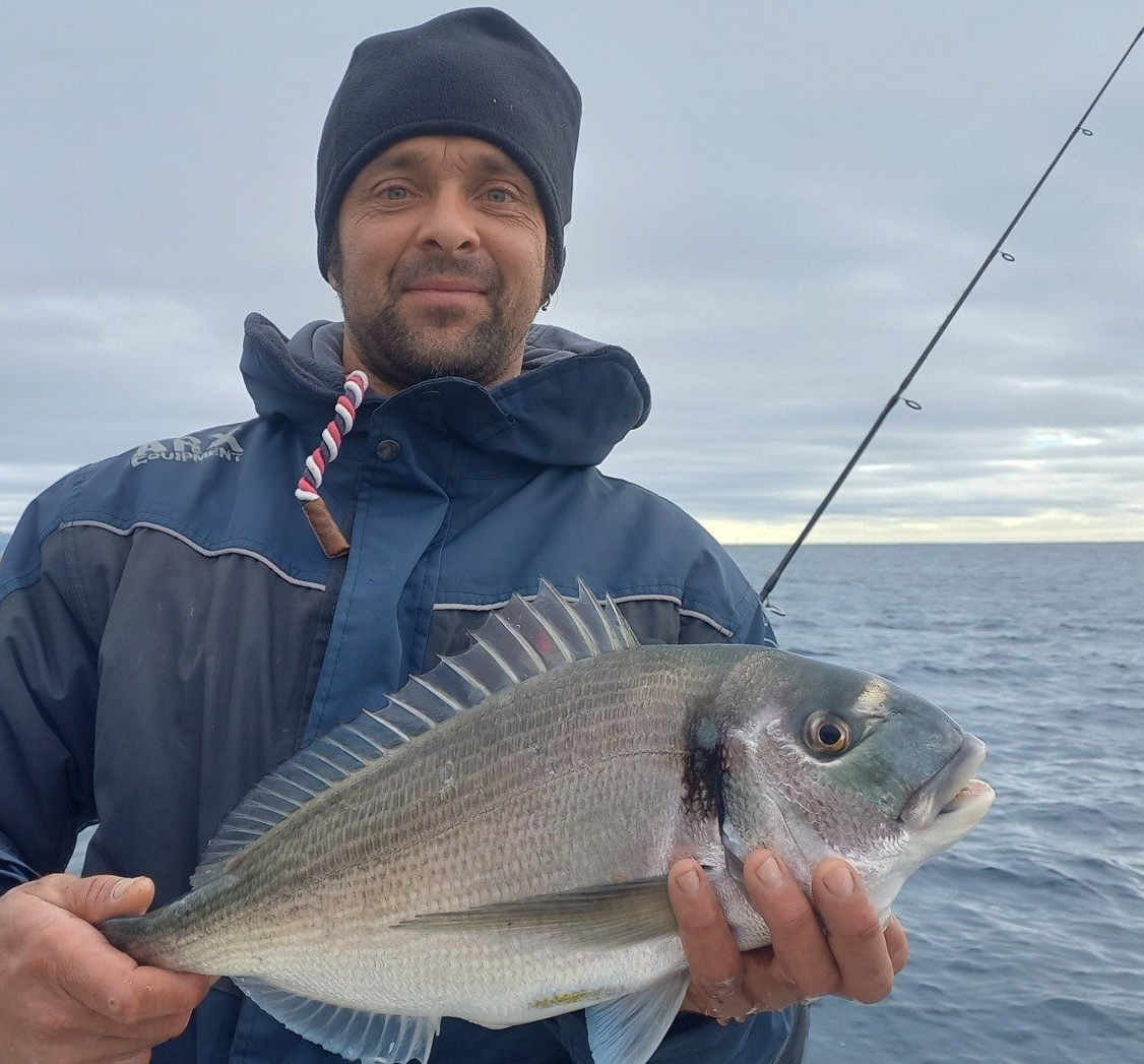 grosse daurade royale en hivers