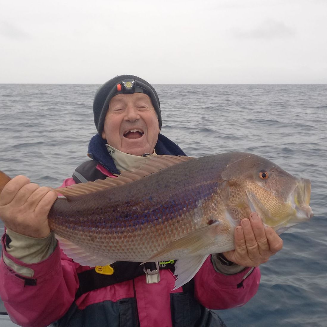 gros poisson capturé lors d'une partie de pêche en mer