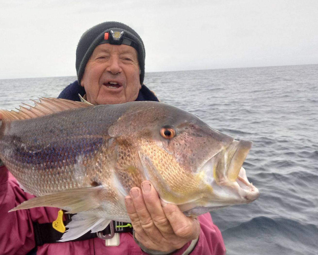 pêche en dérive denti pêche côte bleue vidéo dentex dentex