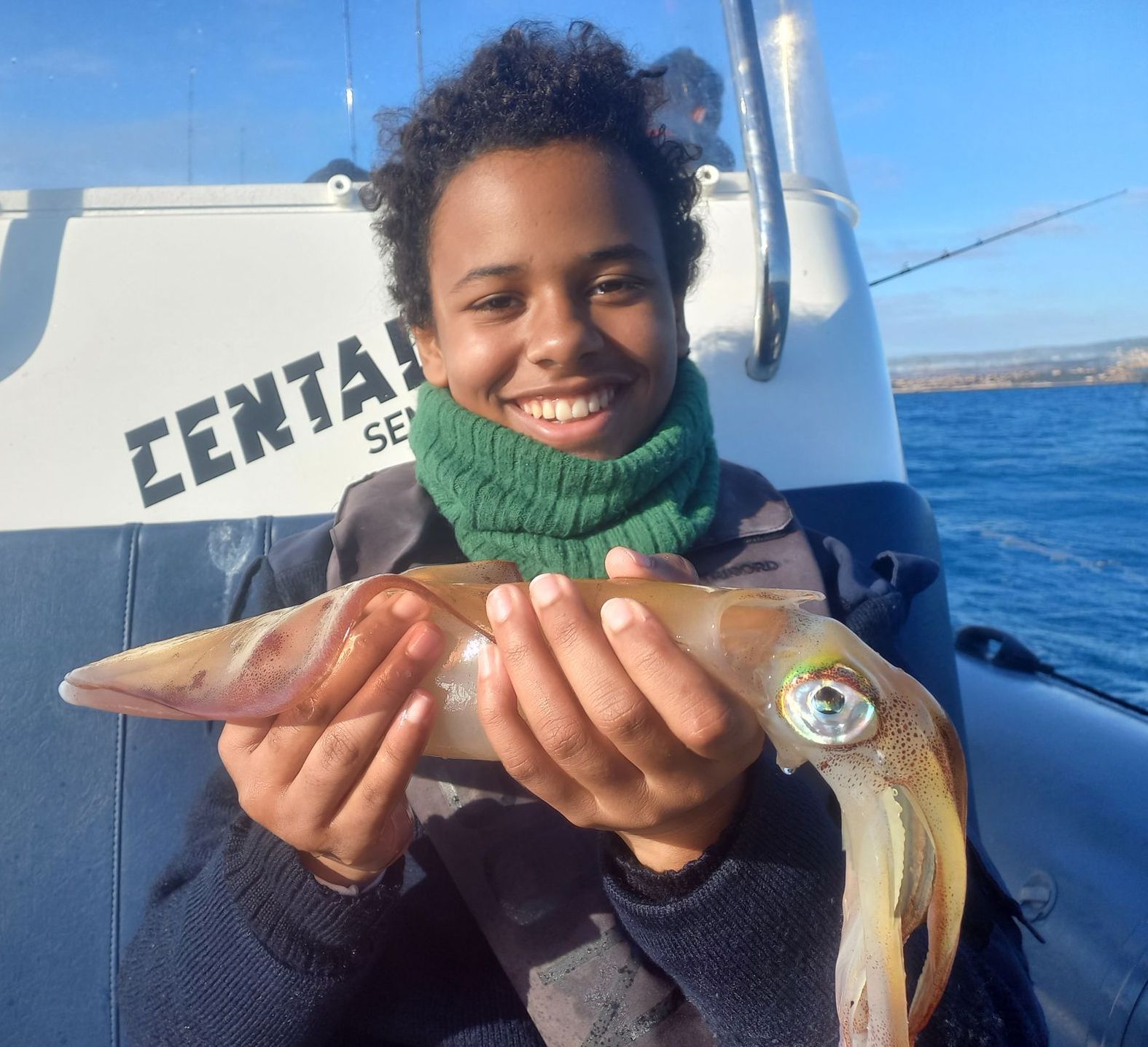 joli calamar capturé sur le départements des bouches du rhone