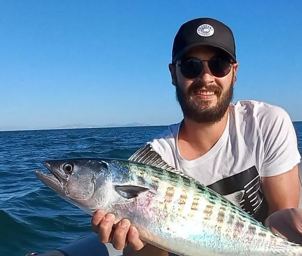 pélamide, bonite poisson pêché guide de pêche en mer