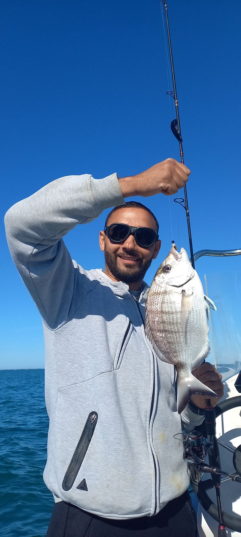 Gros sar capturé avec une canne à peche