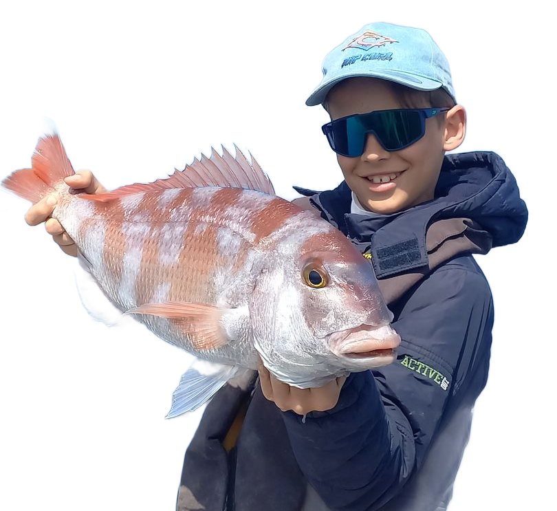 Gros chapon à Marseille Pêche en mer avec un guide