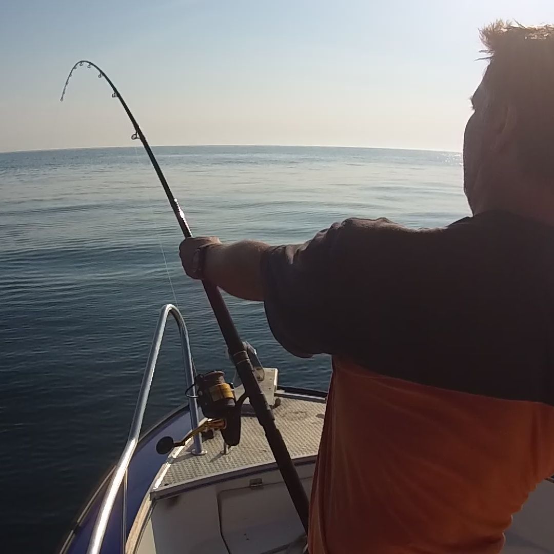 peche au thon cap couronne peche