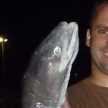 gros congre pêche sur épave guide sortie pêche journée peche