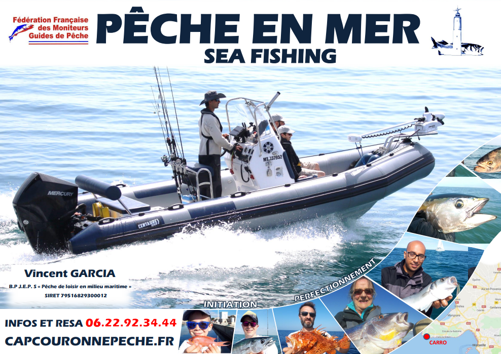 affiche guide de peche en mer vincent garcia peche marseille peche cote bleue affiche guide de peche en mer pêcher en mer a marseille
