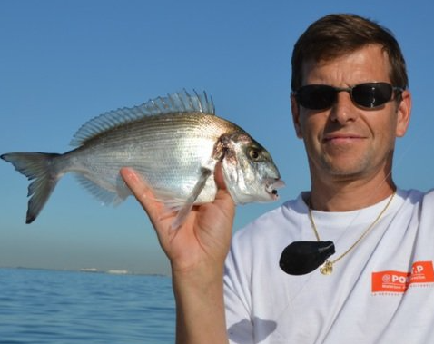 belle pêche de daurade royale