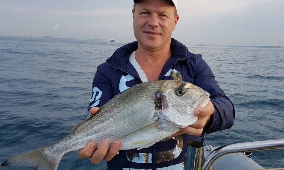 pêche daurade royale technique montage