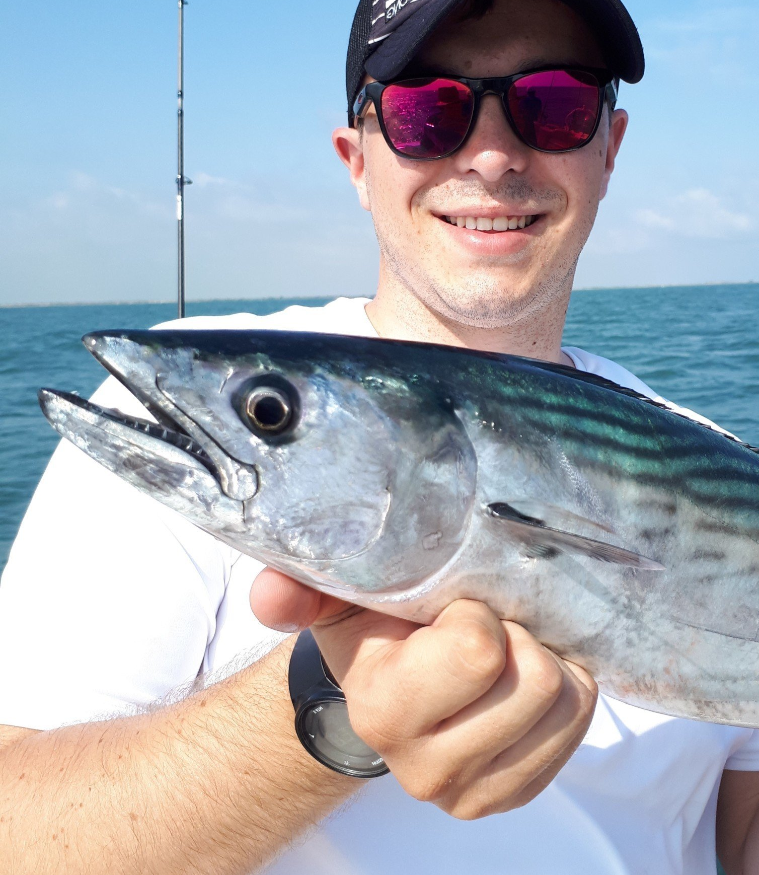 pélamide, bonite poisson pêché guide de pêche en mer