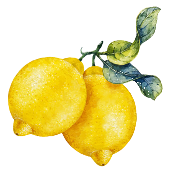 Citron, limon, lemon, lime, citrus médica linomiun