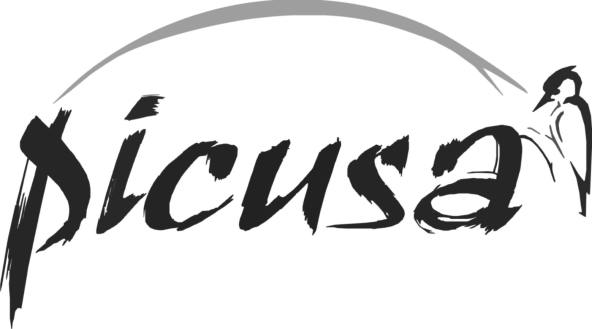 Picusa